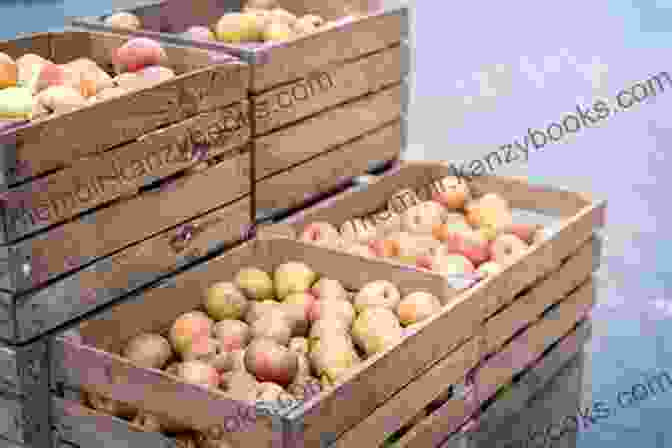 A Bountiful Harvest Of Apples In A Wooden Crate, Ready To Be Savored Apples: From Harvest To Table