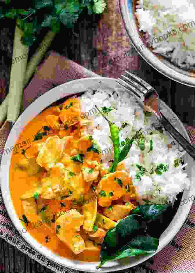 A Colorful Plate Of Chicken Curry With Rice And Vegetables. Chicken Recipes: 100 Delicious Chicken Recipes In The World Collected By Popular Chef