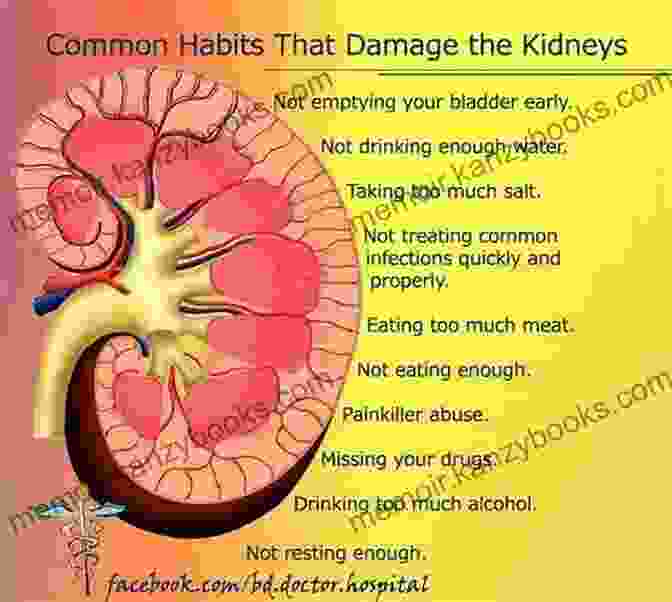 A Comprehensive Guidebook Titled 'The Plan For Your Kidneys' Health' With A Detailed Illustration Of The Kidneys On Its Cover. Satisfying Renal Recipes: The Plan For Your Kidneys Health