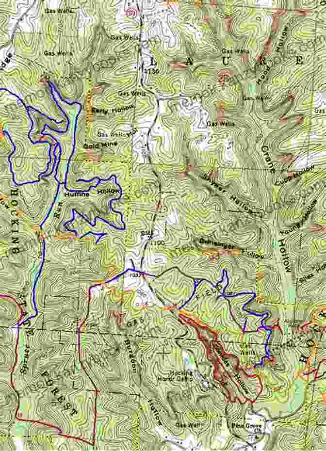 A Detailed Trail Map Of The South East Forests Wild Nature: Walking Australia S South East Forests