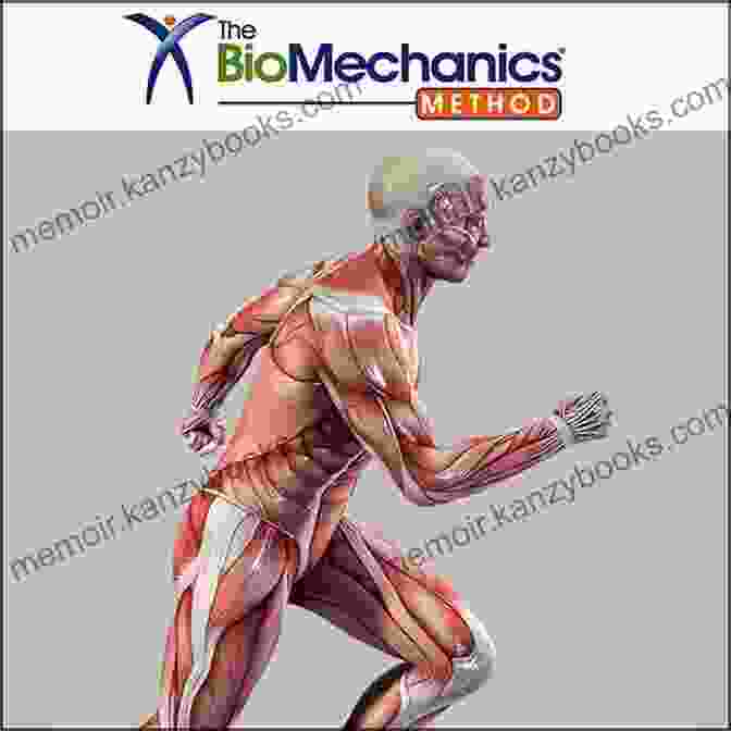 A Diagram Of Animal Anatomy And Biomechanics, Showcasing The Skeletal Structure, Musculature, And Nervous System. Force: Animal Drawing: Animal Locomotion And Design Concepts For Animators (Force Drawing Series)