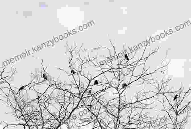 A Group Of Crows Perched On A Tree Branch, Their Iridescent Black Feathers Gleaming In The Sunlight. Crows : Strange And Wonderful Laurence Pringle