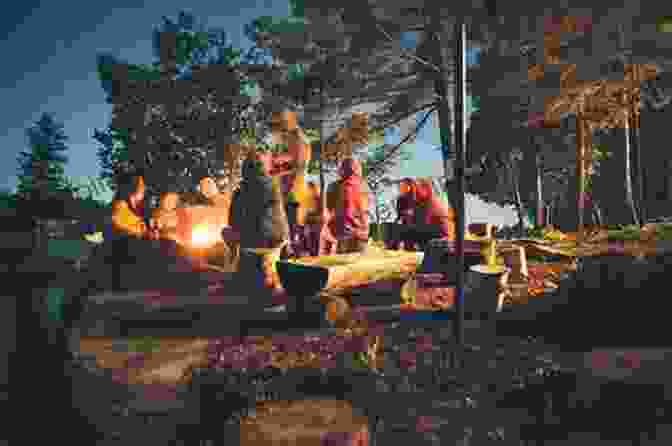 A Group Of Hikers Practicing Responsible Camping In The South East Forests Wild Nature: Walking Australia S South East Forests