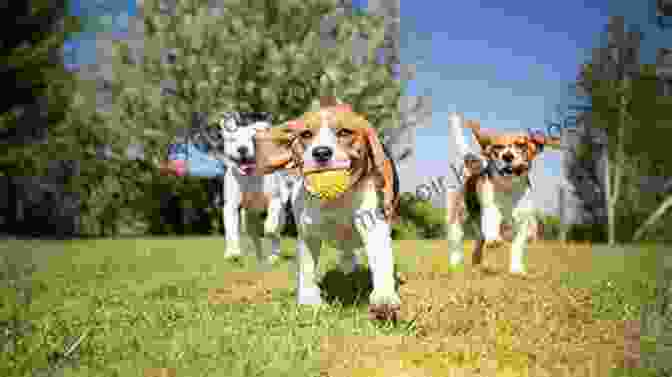 A Group Of Puppies Playing Baseball In A Meadow Doggie Dog S Baseball : A Children S For Kids Who Love Baseball And Animals (The Doggie Dog Series)