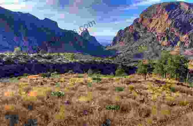 A Panoramic View Of The Texas Landscape, Encompassing Mountains, Rivers, Deserts, And Forests Children S About Texas: A Kids Picture About Texas With Photos And Fun Facts