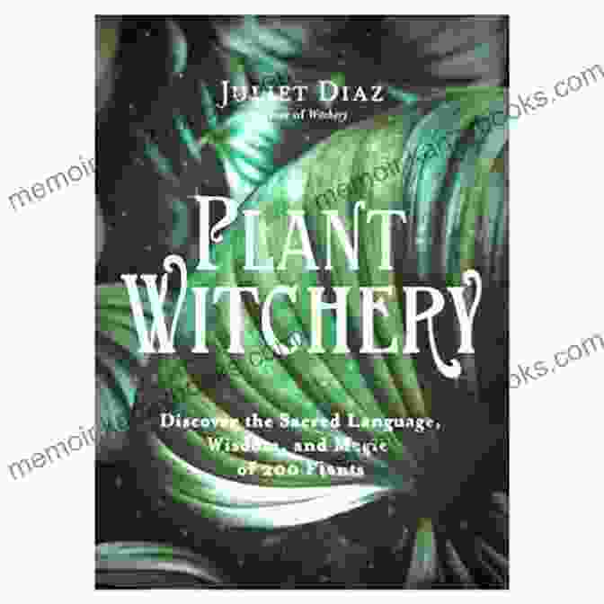 A Photo Of The Book Discover The Sacred Language Wisdom And Magic Of 200 Plants Plant Witchery: Discover The Sacred Language Wisdom And Magic Of 200 Plants