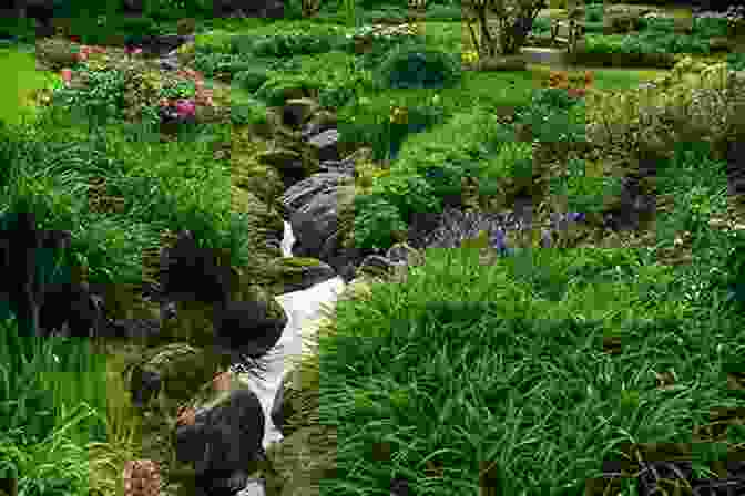 A Photograph Of A Lush Garden, Symbolizing The Healing And Growth That Nature Can Provide Plant A Kiss Amy Krouse Rosenthal