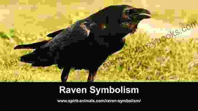 A Raven Perched On A Branch, A Traditional Symbol Of An Omen In Irish Folklore Irish Superstitions: Irish Spells Old Wives Tales And Folk Beliefs