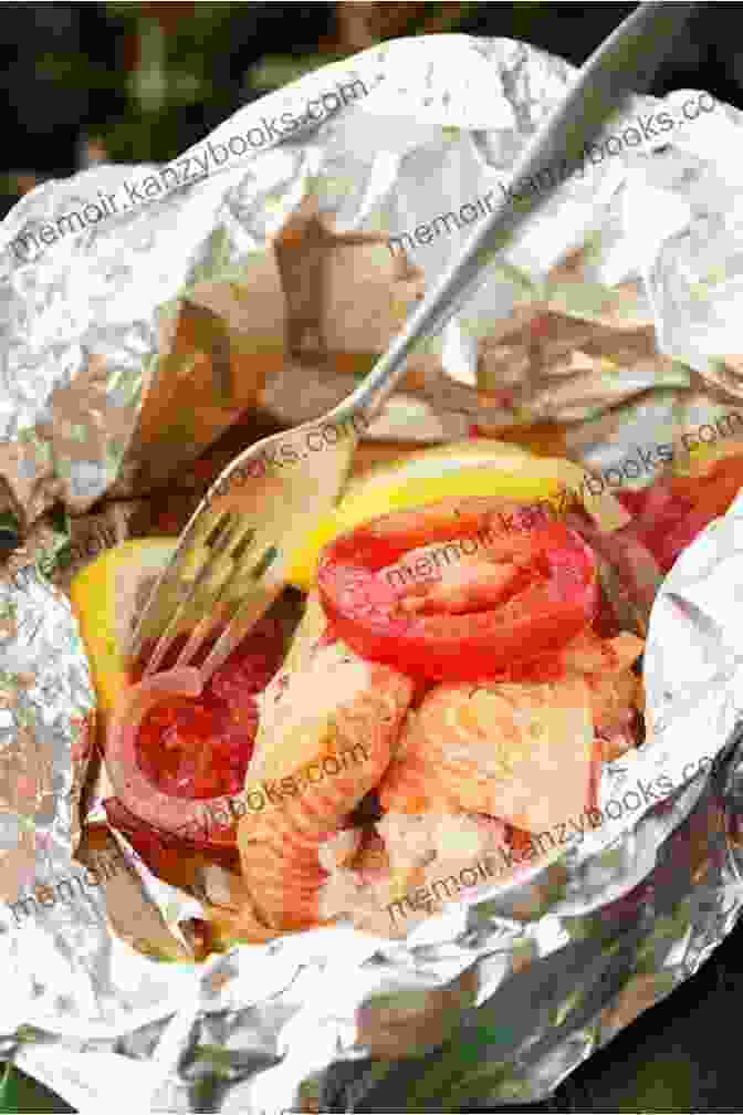 A Variety Of Foil Packet Recipes Cooking Over A Campfire Camping Cookbook: Foil Packet Recipes Vol 2 (Camp Cooking)