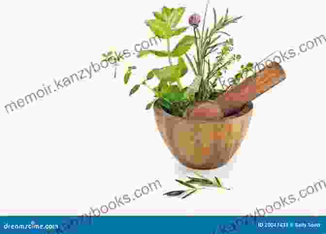 A Variety Of Herbs Used For Medicinal Purposes, With A Wooden Spoon And Mortar And Pestle How To Use Herbs Nutrients Yoga In Mental Health