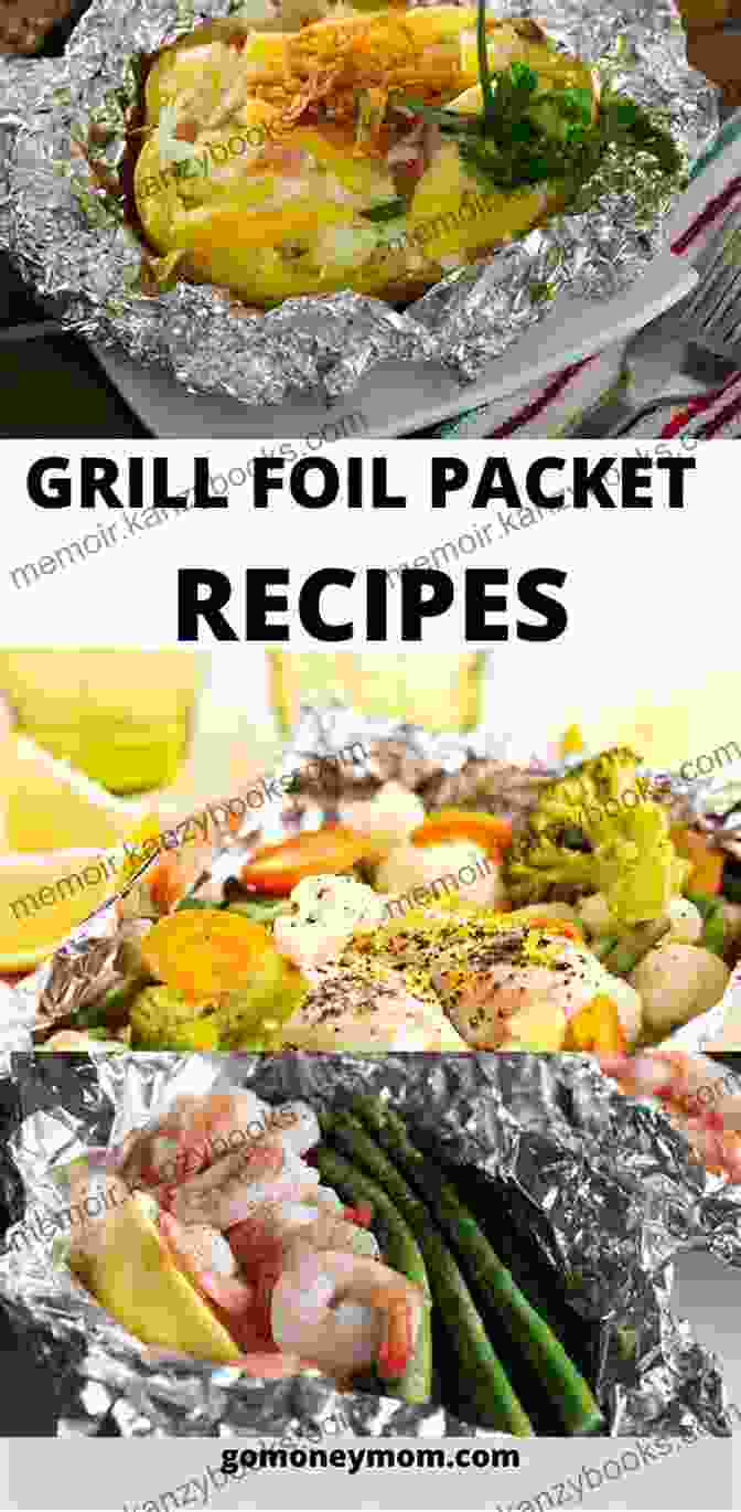 A Variety Of Savory Main Course Foil Packet Recipes Camping Cookbook: Foil Packet Recipes Vol 2 (Camp Cooking)