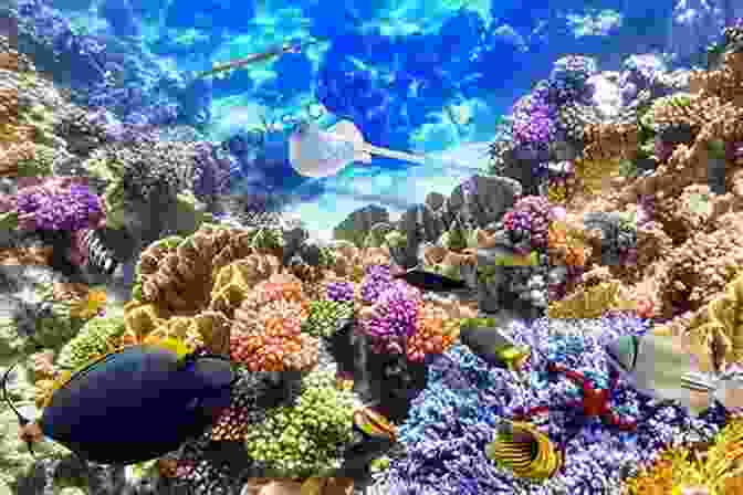 A Vibrant Underwater Scene Featuring Colorful Coral Formations And A Variety Of Marine Life In The Great Barrier Reef, Australia Useful Suggestions Of Best Places To Go: Discovering Best Places With All Of Instructions And Guides