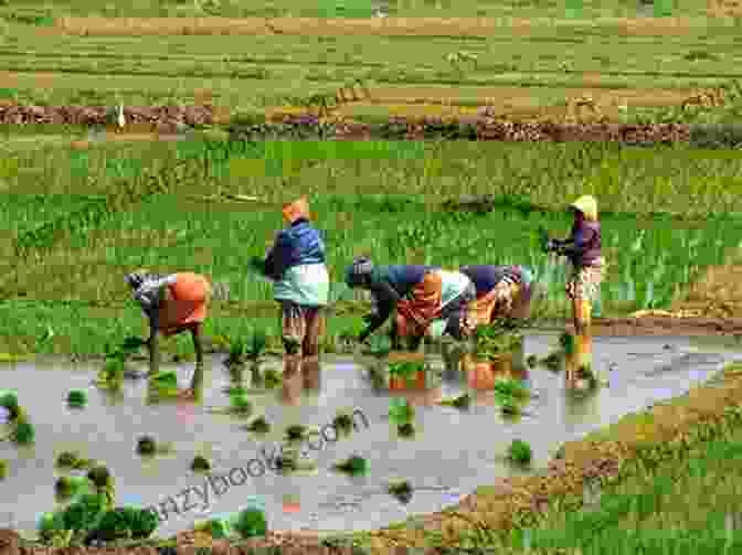 Farmers Working In A Field Humanity Work (Humanity Work Foundation 1)