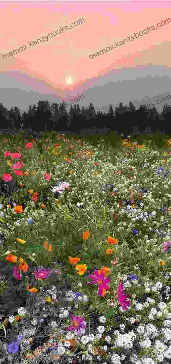 Gorgeous Wildflower Photography In Nature Guide Outdoor School: Hiking And Camping: The Definitive Interactive Nature Guide