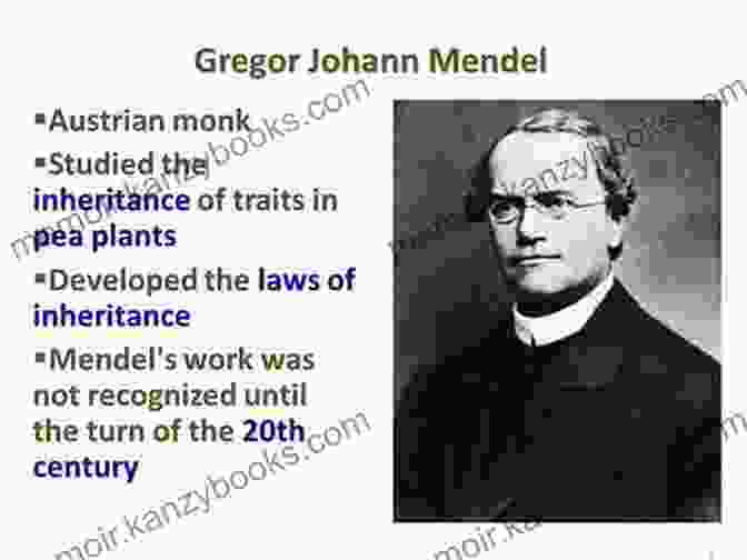 Gregor Mendel, A Self Educated Austrian Monk Who Developed The Laws Of Heredity. Benjamin Banneker: Self Educated Scientist (STEM Scientists And Inventors)