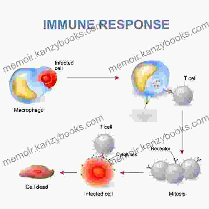 Illustration Of A Healthy Immune System With Antibodies And Immune Cells Actively Defending The Body Against Invaders, Boosted By Ample Vitamin D. Sunshine And Vitamin D: A Comprehensive Guide To The Benefits Of The Sunshine Vitamin