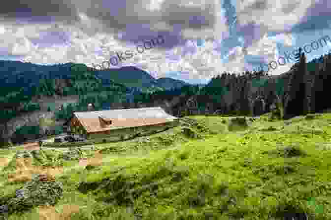 Traditional Alpine Hut Nestled In A Mountain Meadow Trekking In The Alps (Mountain Walking)