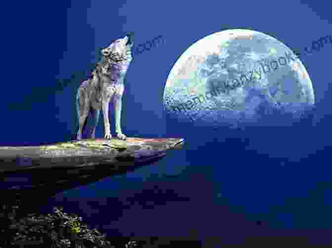 Wolfcry Howling At The Moon The Shapeshifters: Hawksong Snakecharm Falcondance Wolfcry Wyvernhail (The Kiesha Ra)