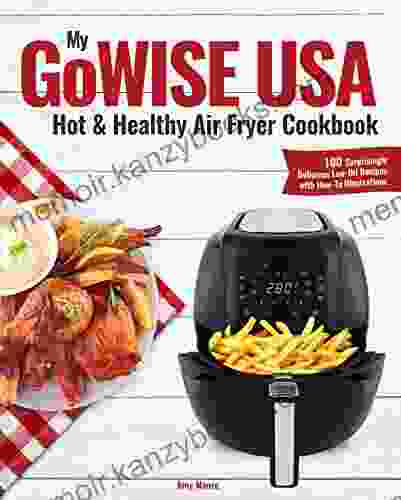 My GoWISE USA Hot Healthy Air Fryer Cookbook: 100 Surprisingly Delicious Low Oil Recipes with How To Illustrations