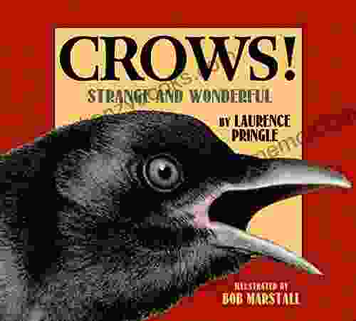 Crows : Strange And Wonderful Laurence Pringle