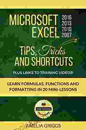 Microsoft Excel 2024 2024 2007 Tips Tricks and Shortcuts: Learn Formulas Functions and Formatting in 20 Mini Lessons (Easy Learning Microsoft Office How To 2)