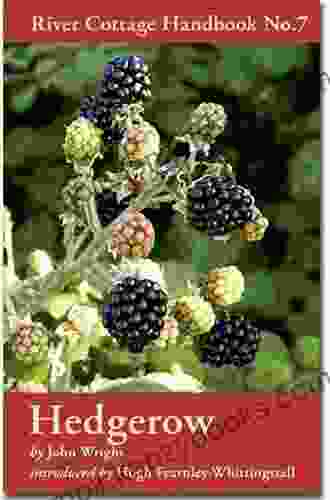 Hedgerow: River Cottage Handbook No 7