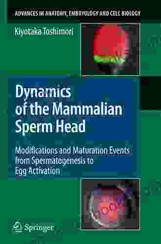 Dynamics Of The Mammalian Sperm Head: Modifications And Maturation Events From Spermatogenesis To Egg Activation (Advances In Anatomy Embryology And Cell Biology 204)