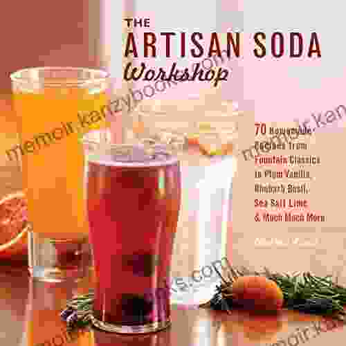 The Artisan Soda Workshop: 75 Homemade Recipes from Fountain Classics to Rhubarb Basil Sea Salt Lime Cold Brew Coffee and Muc