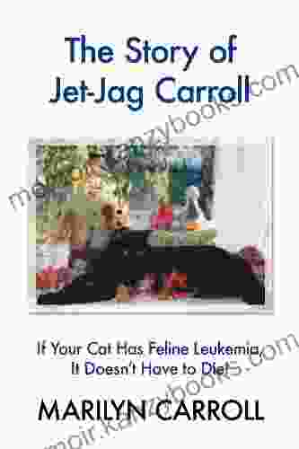 The Story Of Jet Jag Carroll