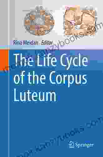 The Life Cycle Of The Corpus Luteum