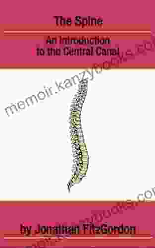 The Spine: An Introduction to the Central Channel