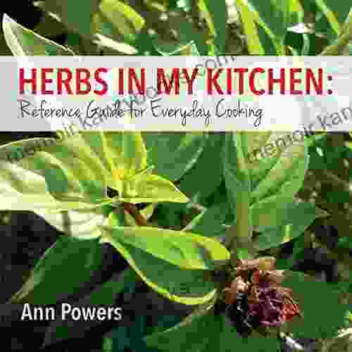 Herbs In My Kitchen: Reference Guide For Everyday Cooking