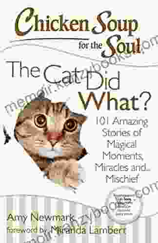 Chicken Soup for the Soul: The Cat Did What?: 101 Amazing Stories of Magical Moments Miracles and Mischief